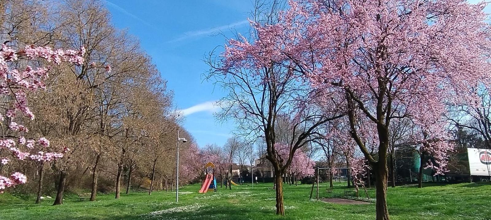 Shanti Ca' Casa Indipendente Con Giardino Lacchiarella المظهر الخارجي الصورة